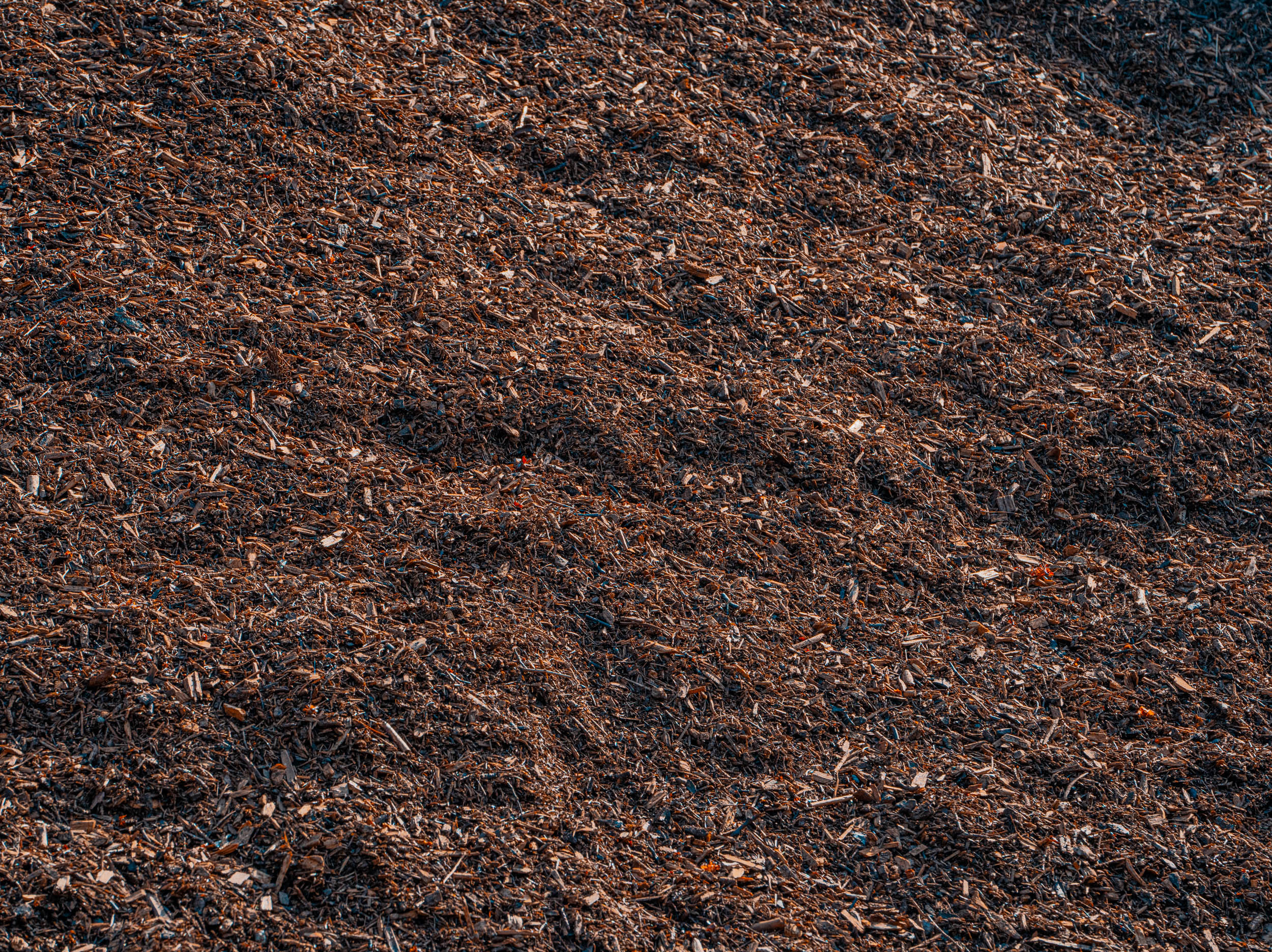 Foto vom Waldhackmulch der auf dem Boden verteilt liegt.