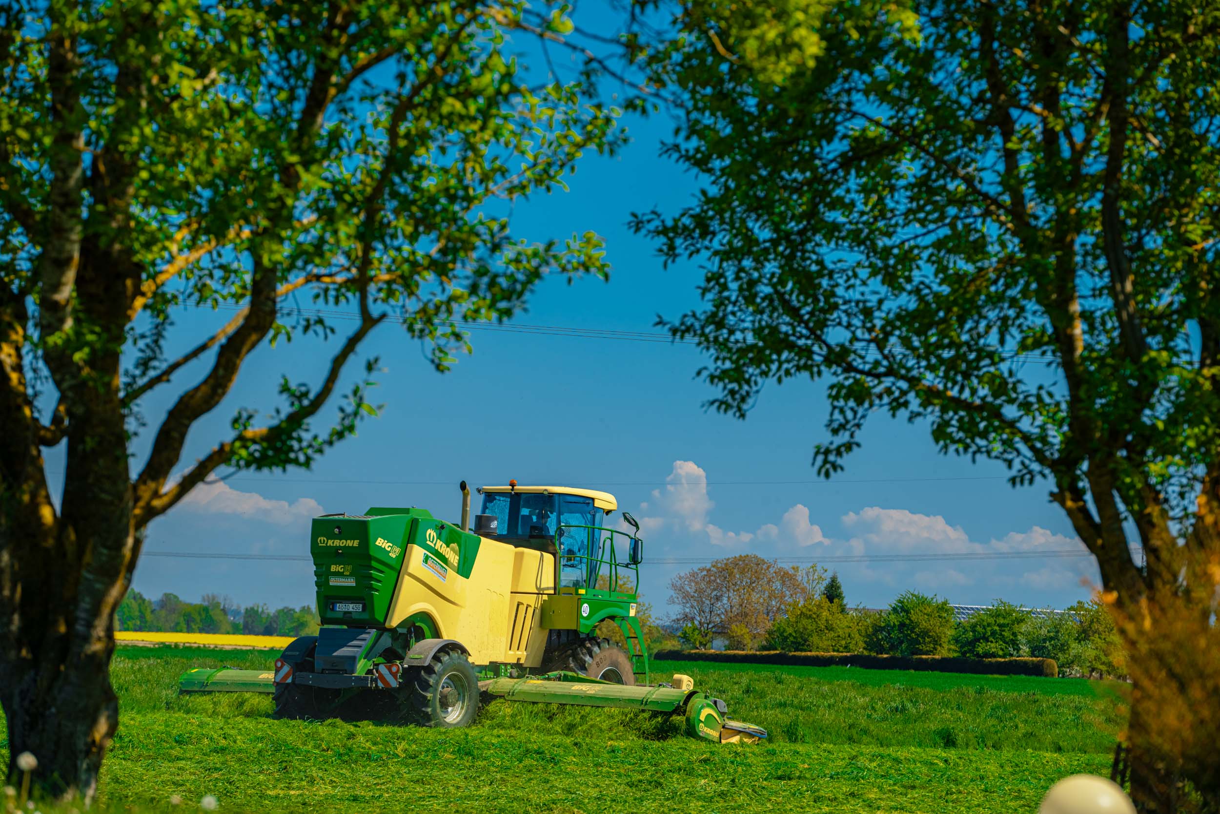Krone Großflächenmäher von Ostermaier beim Mähen von Gras auf einer Wiese, eingerahmt von Bäumen – professionelle landwirtschaftliche Dienstleistungen in der Grünlandpflege.